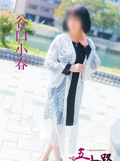 谷口小春 五十路マダムエクスプレス船橋店(カサブランカグループ)（熟女デリヘル）