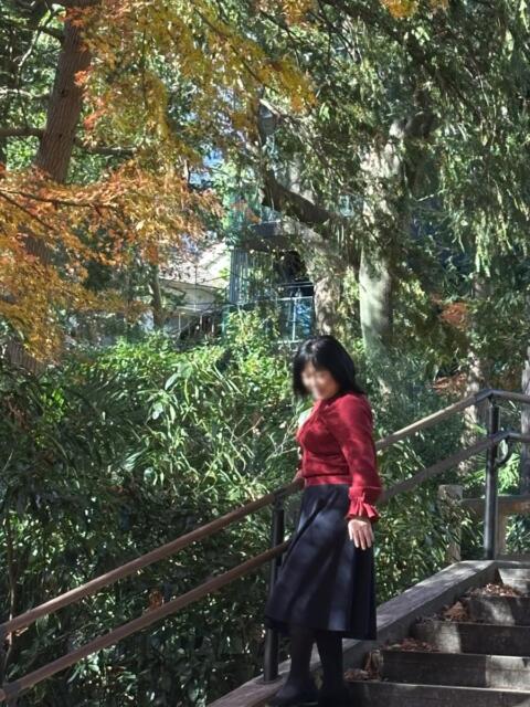 小野 人妻風俗チャンネル（人妻デリヘル）