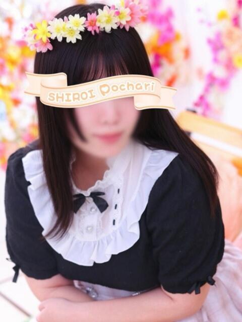 はる 白いぽっちゃりさん仙台店（ぽっちゃり専門デリヘル）
