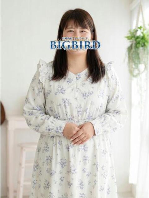 和琉（にこる） ビッグバード（ソープランド）