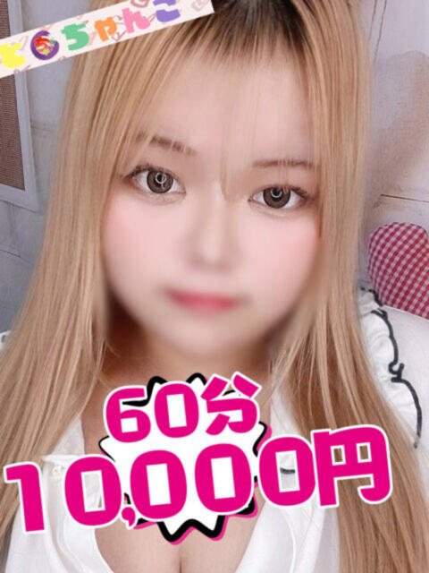 ゆいか【業界未経験】 茨城水戸ちゃんこ(ぽっちゃりデリヘル)