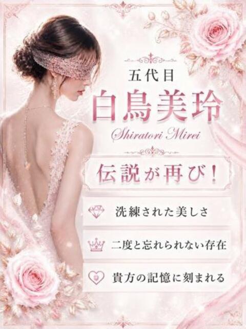 五代目白鳥美玲 神戸FOXY（デリヘル）