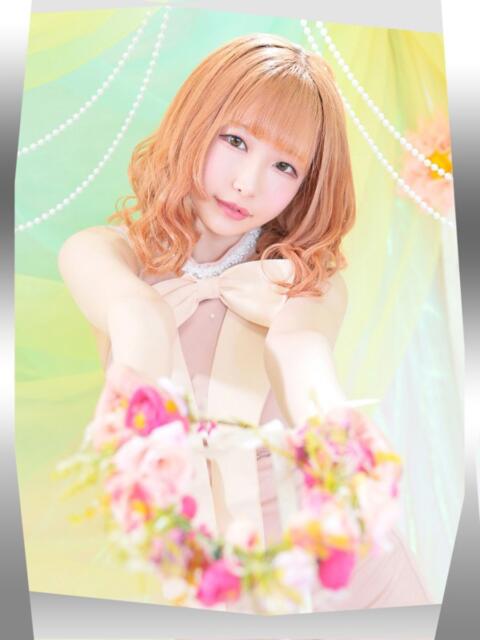 わかめ【極上スタイル美女】 ポニーテール和歌山店（ソープランド）