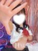ゆい Porn HAREM 熊谷店（/）