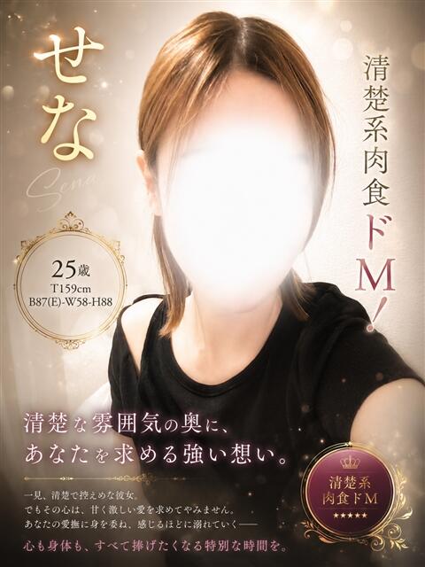 せな 小山人妻隊（待ち合わせ型人妻デリヘル）