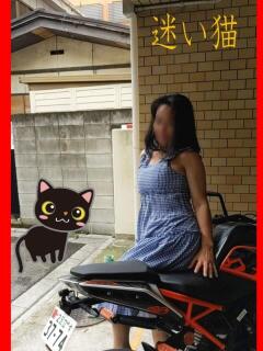 ここちゃん 三毛猫（鶯谷/デリヘル）