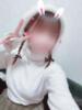 ねこ ZERO-i（/）