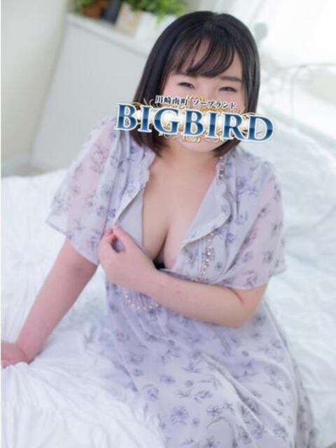 胡桃（くるみ） ビッグバード（ソープランド）