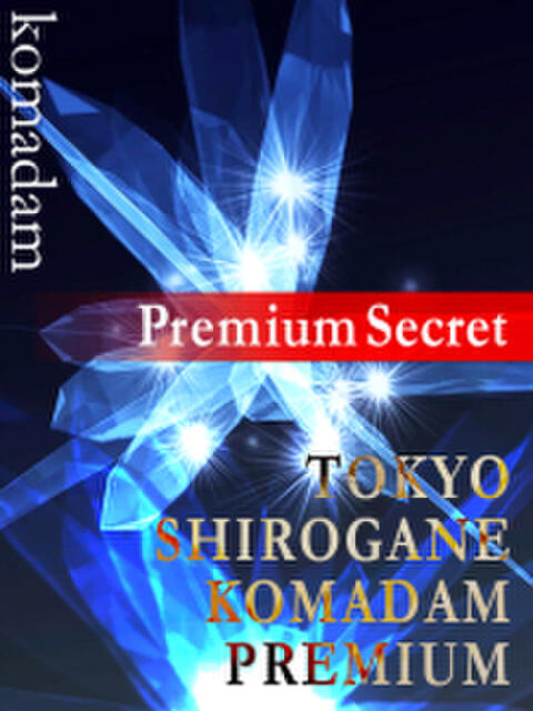 瑠衣 東京白金コマダムPremium（清楚系デリヘル）