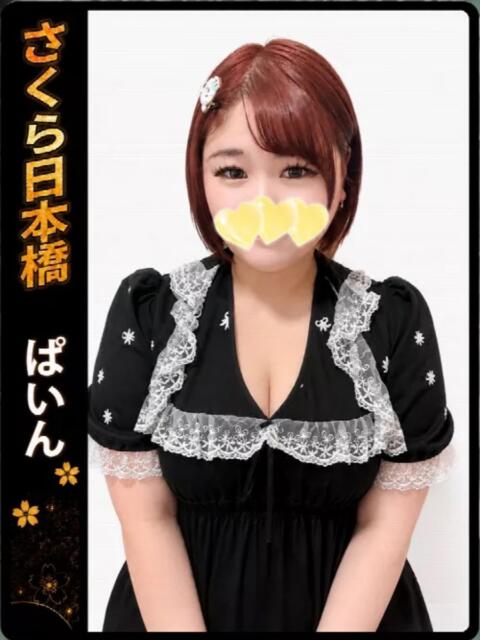 ぱいん club さくら日本橋店（ホテヘル）