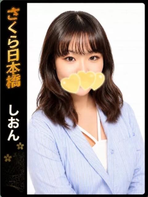 しおん club さくら日本橋店(ホテヘル)