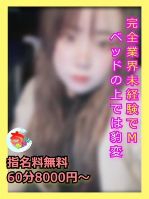 つばさ 宮崎ちゃんこ中央通店(ぽっちゃりデリヘル)