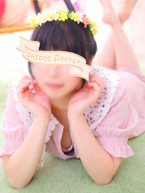 せな 白いぽっちゃりさん仙台店（ぽっちゃり専門デリヘル）