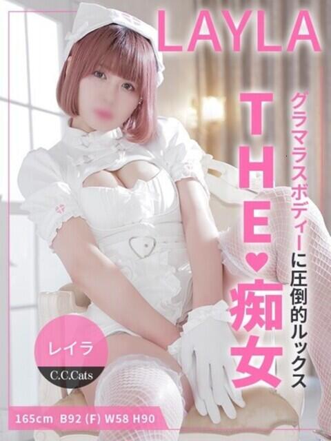 レイラ CCキャッツ（受付型M性感＆派遣型M性感）