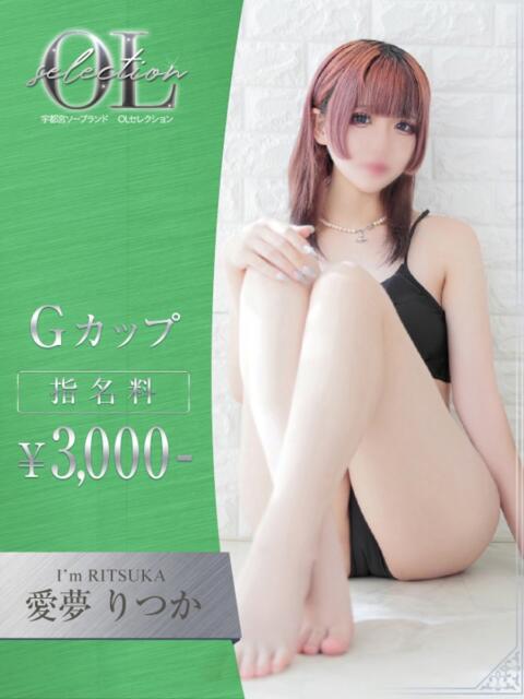 愛夢 りつか OLセレクション宇都宮店(ソープランド)