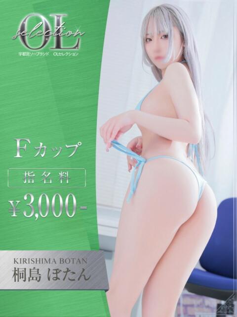 桐島 ぼたん OLセレクション宇都宮店(ソープランド)