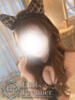 みゆう☆ルックス、スタイル反則級 Hills Premier（/）