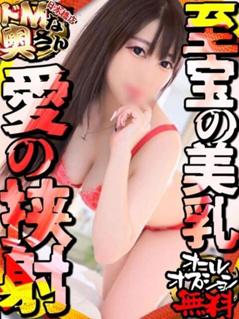レム ドMな奥さん 日本橋店（ホテヘル）