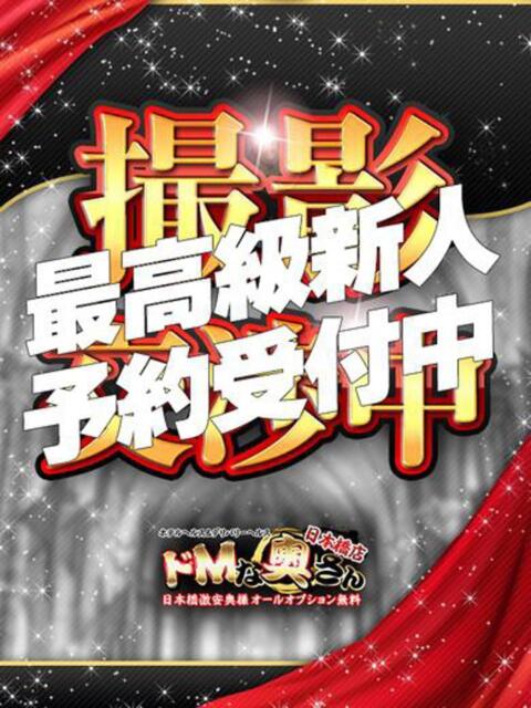 リサリサ ドMな奥さん 日本橋店（ホテヘル）