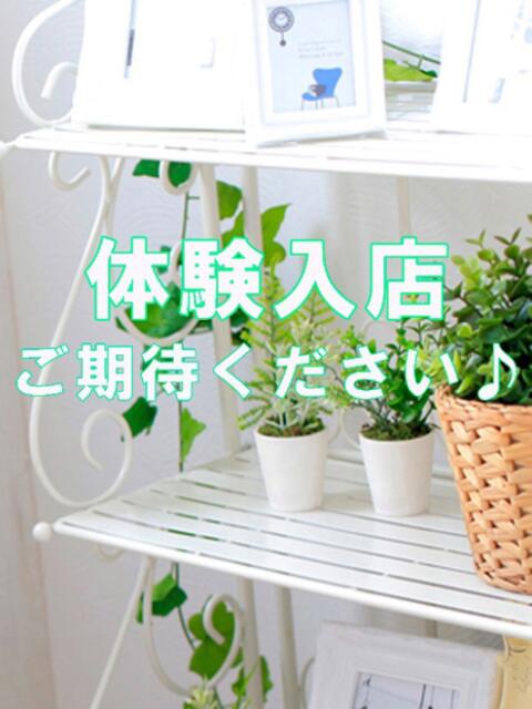 ありさ 大人の遊園地(デリヘル)