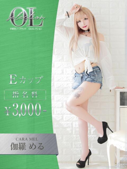 伽羅 める OLセレクション宇都宮店(ソープランド)