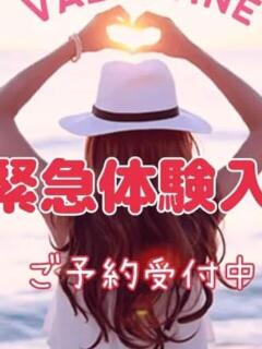 ひかる バレンタイン(福山)（福山/デリヘル）