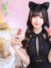 ネコ 川崎美女革命（/）