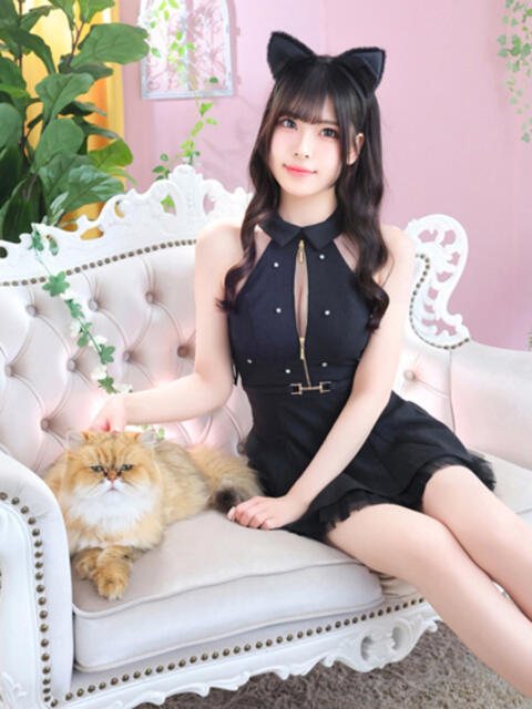 ネコ 川崎美女革命(ソープランド)