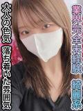 白石 はな 夜這い調教クラブ本店（日本橋/デリヘル）