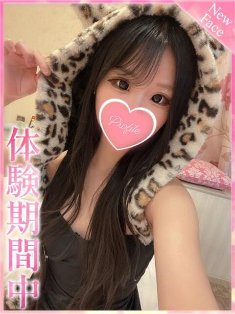 ぷりん プロフィール 京都店（デリヘル）