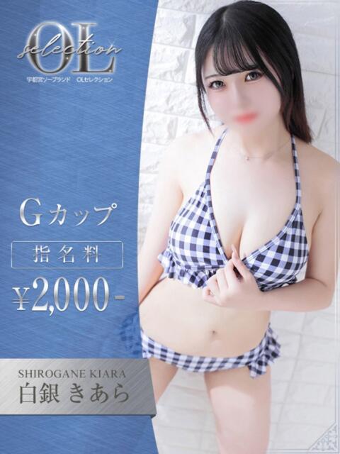 白銀 きあら OLセレクション宇都宮店（ソープランド）