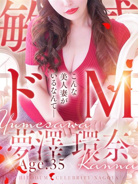 夢澤 環奈 人妻セレブ宮殿（人妻デリヘル）
