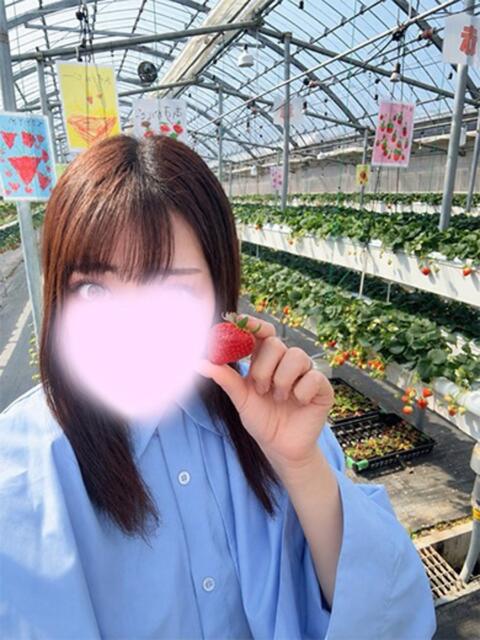 みや 舐めフェチの会（クンニ専門オナクラ）