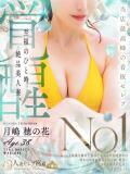 月嶋 穂の花 人妻セレブ宮殿（錦/デリヘル）