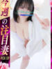 みさき 小岩人妻花壇（/）