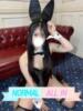 るあ JAPAN CLUB BUNNY LOUNGE（/）