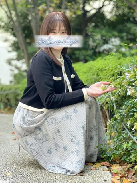 須藤ふみ 月の真珠-新宿-(デリヘル(人妻若妻専門店))