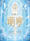 ★無敵の萌寧【もね】★ CLUB MUTEKI大阪本店（新大阪/デリヘル）