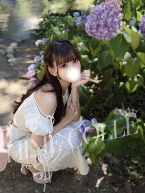 りこ 姫コレクション 高崎前橋店（デリヘル）