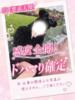 なぎさ【清楚系ロリっ子天使】 Mode（モード）◆理想の彼女◆（/）
