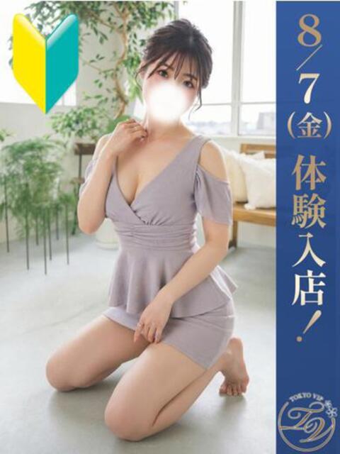 ほなみ(HONAMI) 裸でマッサージ+デリヘルサービス!TOKYO VIP(マッサージ+デリヘル)