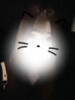 らら みつばちマーヤZ（/）