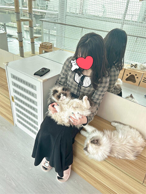 きこ 舐めフェチの会（クンニ専門オナクラ）