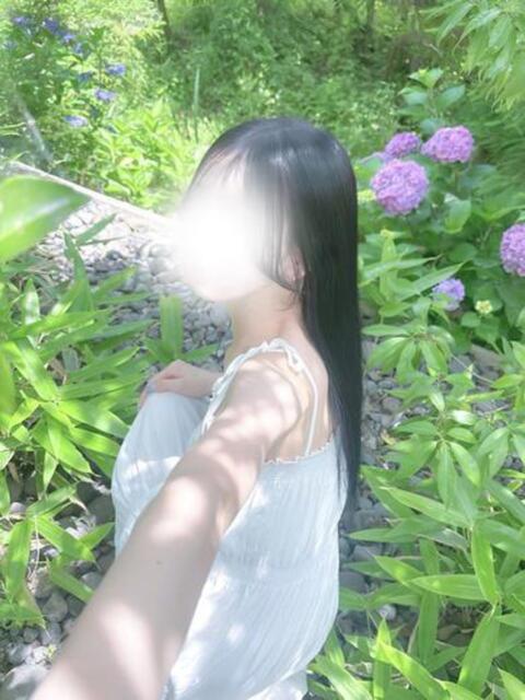 せいら☆透明感抜群の超絶美女 Hills Premier（デリヘル）