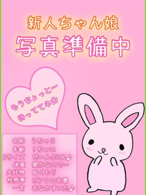 ちろる 立川ちゃんこ（ぽっちゃり系デリヘル）