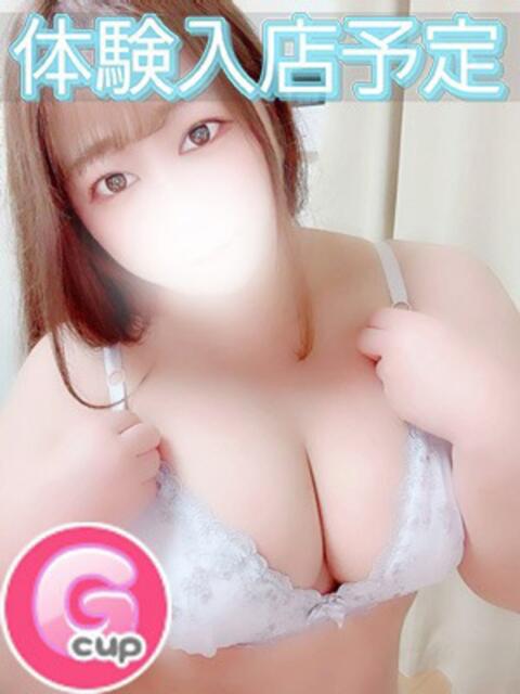 かんな 群馬伊勢崎ちゃんこ（ぽっちゃりデリヘル）