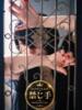 オミナ ハンドリング　亀頭責め専門店（/）