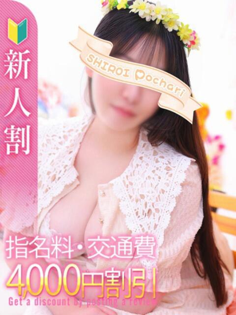 ななみ 白いぽっちゃりさん仙台店(ぽっちゃり専門デリヘル)