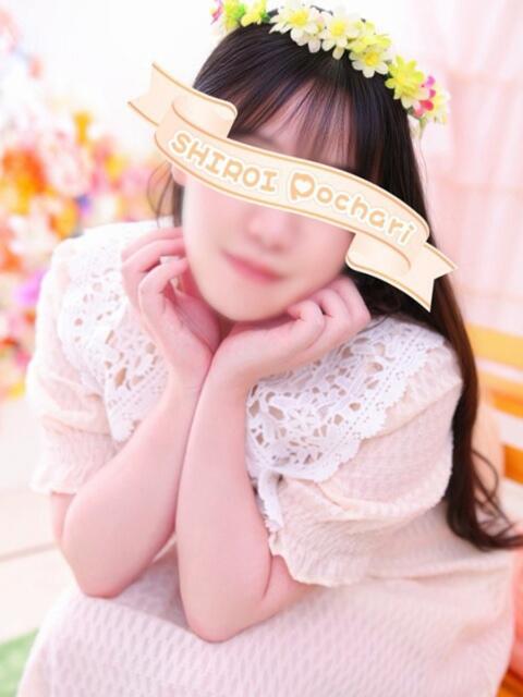 ななみ 白いぽっちゃりさん仙台店(ぽっちゃり専門デリヘル)