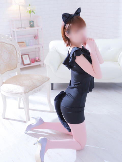 南 セクシーキャット 小田原店（ファッションヘルス）